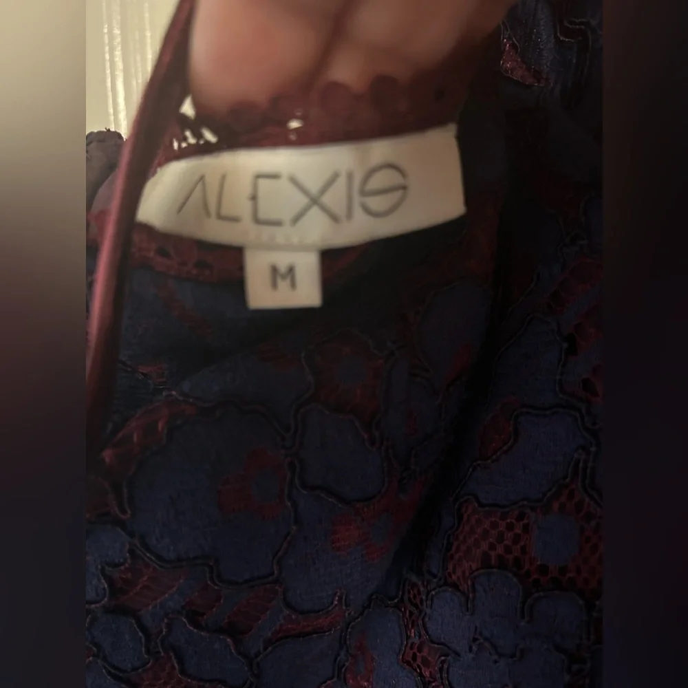 🎉Hp🎉Alexis mid sleeve lined lace dress - Picture 5 of 8